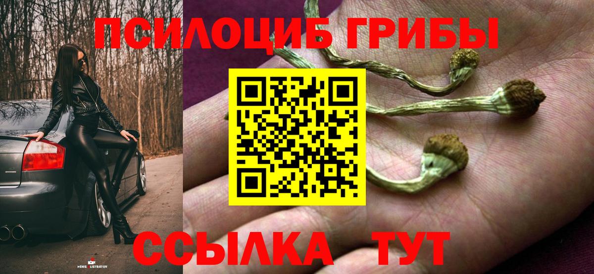 Бахчисарай  Галлюциногенные грибы мицелий  Вход с VPN  Псилоцибиновые грибы Magic Shrooms 