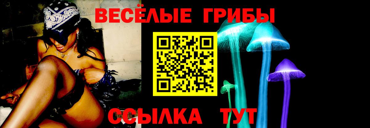 Псилоцибиновые грибы Psilocybine cubensis Бахчисарай